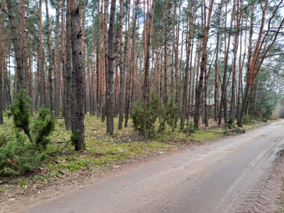 Działka, ul. Paderewskiego