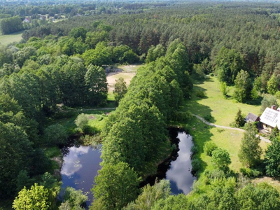 Toruński, Zławieś Wielka, Zarośle Cienkie