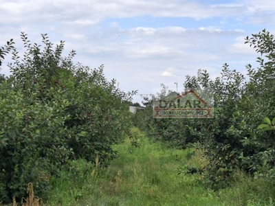 Działka budowlana Grabów Nad Pilicą, ul. Pułaskiego