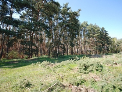 Działka budowlana Grodzanów