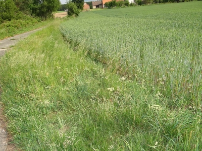 Działka budowlana Opole Czarnowąsy