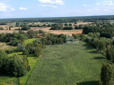 Działka inna Grędzina