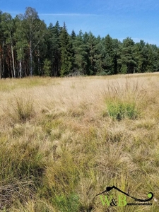 Działka rekreacyjna Kalety, ul. Wesoła