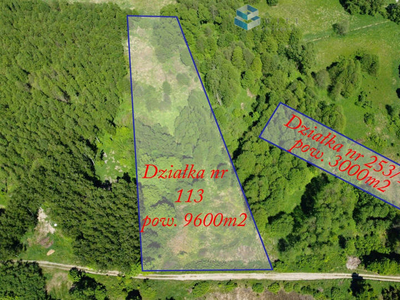 Oferta sprzedaży gruntu 3000m2 Grabin Grabinek, województwo warmińsko-mazurskie, Poland