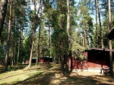 Ośrodek wypoczynkowy z własną linią brzegową Narwi