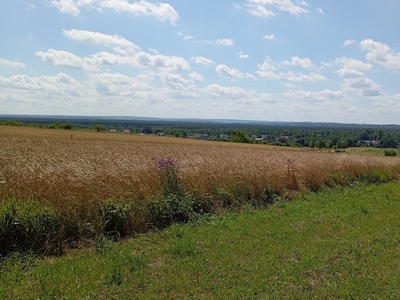 Działka budowlana Dąbrowa Górnicza Błędów, ul. Zagórze