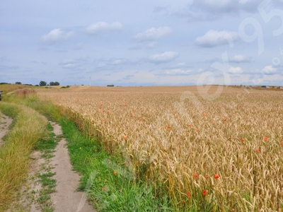 Działka budowlana Swadzim