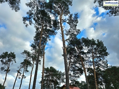 Działka budowlana Włodzimierzów