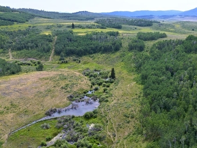 Działka inna Wayan