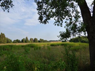 Działka na sprzedaż, Otwocki, Sępochów