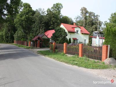 Firma przemysłu drzewnego