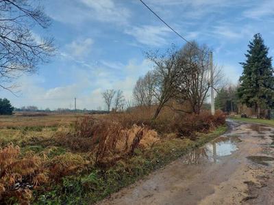 Sikorka działka budowlana przy lesie