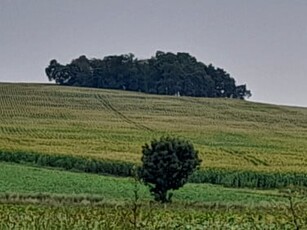 Działka budowlana Dębie