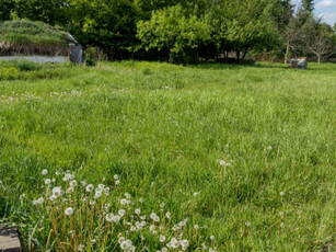 Działka rolno-budowlana, ul. Ciećwierza