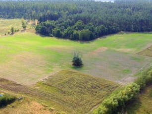 Działka rolno-budowlana, ul. Leszczynowa