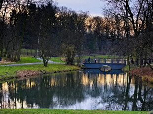 Łódź, Łódź-Bałuty, Julianów, Liściasta