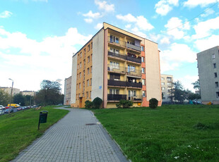 Zabrze, Zaborze, Modrzewiowa