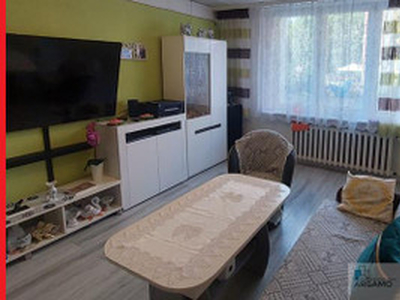 Mieszkanie na sprzedaż, 52 m², Siemianowice Śląskie