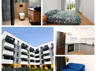 Apartament, ul. Klimontowska