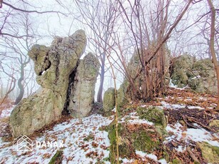 Jerzmanowice-Przeginia Łazy , 5 799,00 m