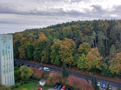 3 pokoje na Brodwinie w Sopocie - sprzedaż bezpośrednia