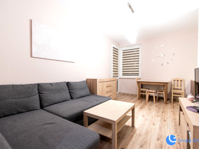 Apartament, Osiedle Avia