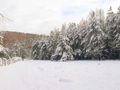 Działka nad rzeką - Paraszyno