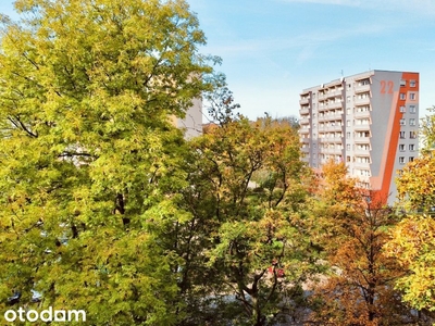 Kawalerka na bliskiej Woli, w pobliżu komunikacji