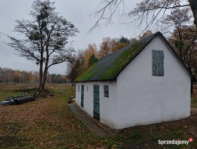 Siedlisko na sprzedaż