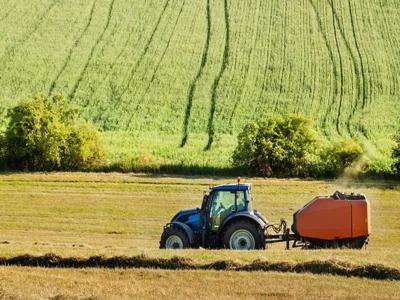 Gródek Białostocki Podlaskie Biuro Nieruchomości