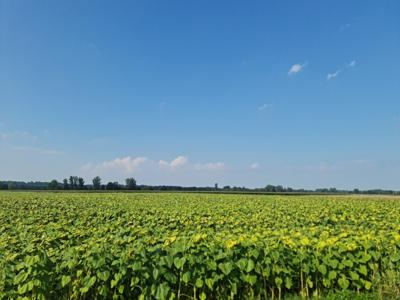 Rondo im. św. Jerzego Wyszków Śląski Nysa Nyski Opolskie Biuro Nieruchomości