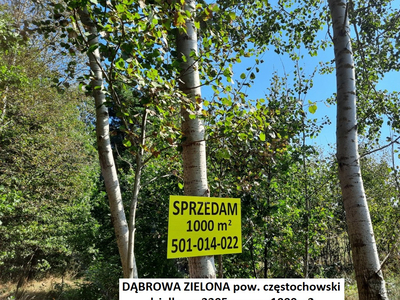 Częstochowski (pow.), Dąbrowa Zielona (gm.), Dąbrowa Zielona