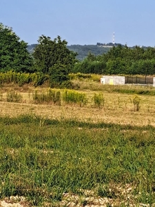 Działka budowlana Koszyce Wielkie