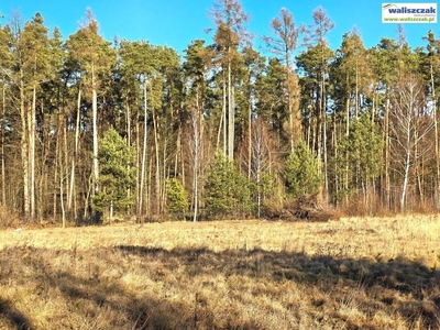 Działka budowlana Poniatów