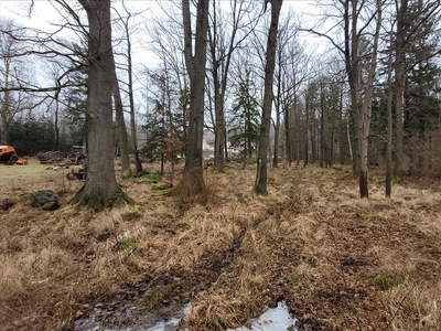 Działka na sprzedaż, Jeleniogórski, Piechowice