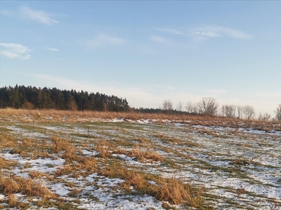 Działka na sprzedaż, Olsztyński, Dobre Miasto gm, Barcikowo