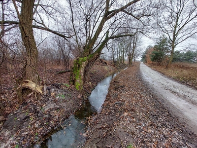 Działka na sprzedaż, Trzebnicki, Ligota Trzebnicka