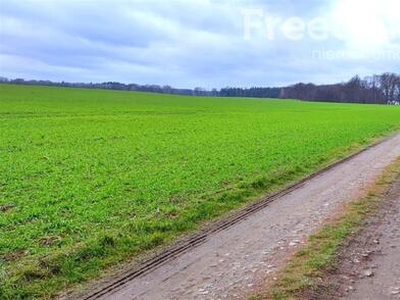 DZIAŁKA NAD JEZIOREM BYTYŃ WIELKI - Nakielno