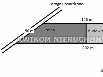 Działki, Samice