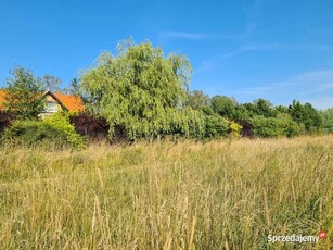 Budowlana na szlaku. Jezioro Jagodne.