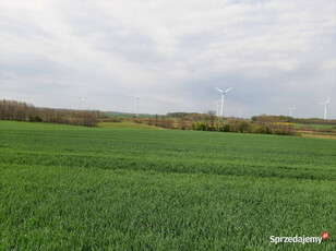 Działka rolna o pow. 2,24ha