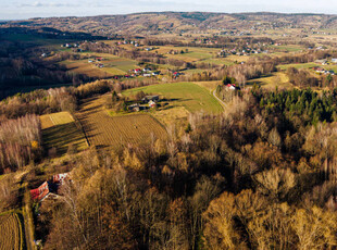 Działka leśna L4 34,40 ar Tuchów