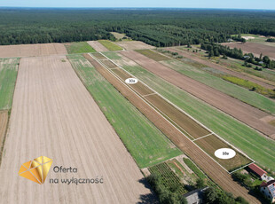 Lubelski, Niemce, Nasutów