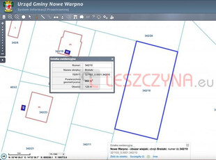 Policki, Nowe Warpno, Nowe Warpno