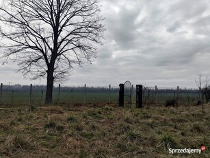 Skrajny ogródek działkowy ROD Wypoczynek Zabrze Biskupice 400m kw