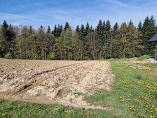 Sprzedam piękną, dużą działkę budowlaną w Osieku