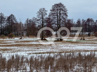 Zwoleński, Kazanów, Niedarczów Dolny-Kolonia