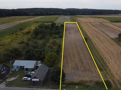 1,15 ha działek rolnych w Zalesiu Krasieńskim