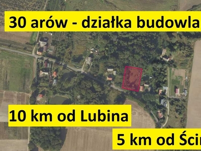 Działka budowlana Dąbrowa Dolna koło Lubina i Ścinawy