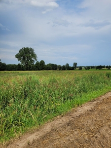 Działka budowlana Jeżewo 1176m2 Łabiszyn OSTATNIE 3 działki